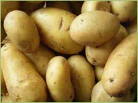 Unkraut in Kartoffeln