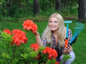 Giersch im garten bekämpfen