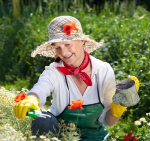 Unkraut im Garten und im Rasen