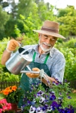 Fungizide gegen Pilzkrankheiten im Garten