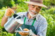 Fungizide im Obstbau