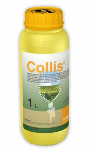 Collis 1 l (100 g/l Kresoxim-methyl  - 200 g/l Boscalid)