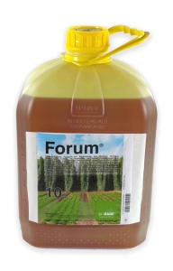 Forum 10 Liter Dimethomorph BASF