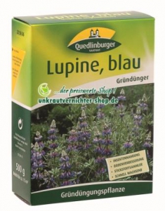 Lupinen sind ideal zur Bodenverbesserung und Gründüngung