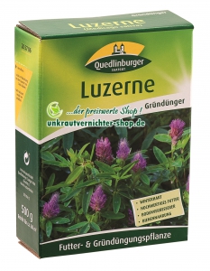 Luzerne (Medicago sativa) 500g Quedlinburger