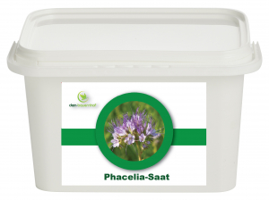 Phacelia Saatgut und Samen für Bienenweide und Gründünger.