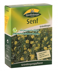 Senf Senfsaat 500gr