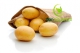 Saatkartoffeln Toscana vorwiegend festkochend