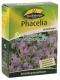 Phacelia (Phacelia tanacetifolia)