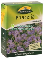 Phacelia als Gründünger und zur ...